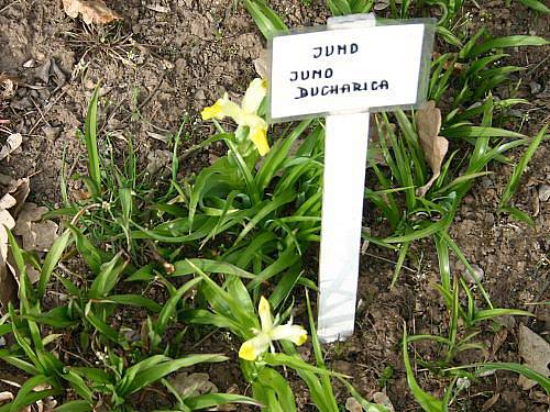 Botanická zahrada v Rakovníku na jaře