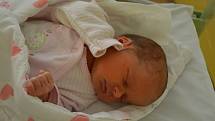 MALVÍNA KVASNIČKOVÁ, RAKOVNÍK. Narodila se 9. července 2019. Po porodu vážila 2,9 kg. Rodičejsou Andrea a Vladimír. Bratr Maxmilián.