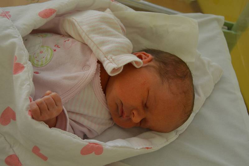 MALVÍNA KVASNIČKOVÁ, RAKOVNÍK. Narodila se 9. července 2019. Po porodu vážila 2,9 kg. Rodičejsou Andrea a Vladimír. Bratr Maxmilián.