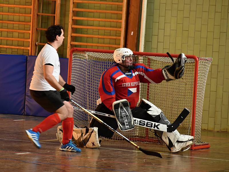 Multi charitativní akce Retro hokejbal pomáhá se v rakovnické sportovní hala uskutečnila již počtvrté.