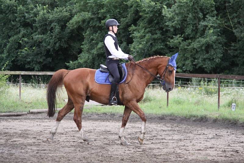 Národních soutěží Working Equitation ve Rtyni nad Bílinou se zúčastnili i koně a jezdci hředelského Jezdeckého klubu Spongilit.