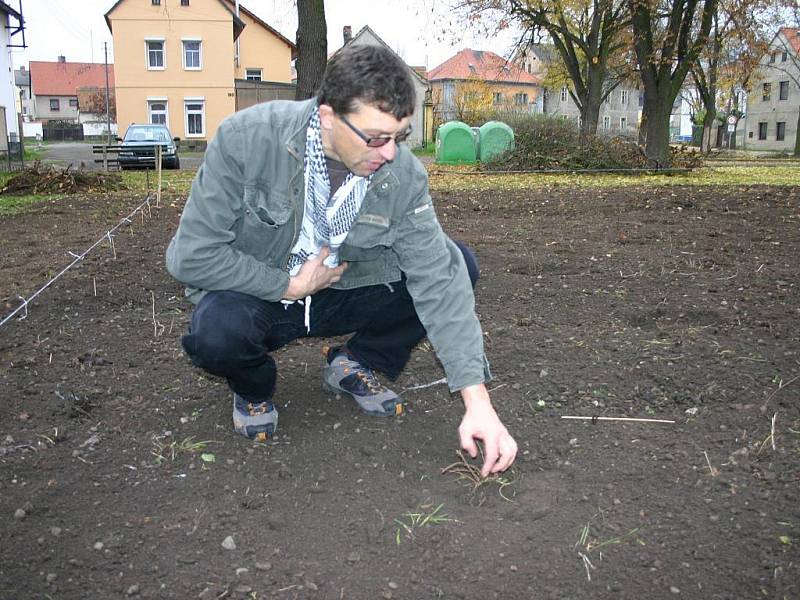 Křest tyčové chmelnice