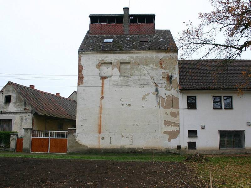 Křest tyčové chmelnice