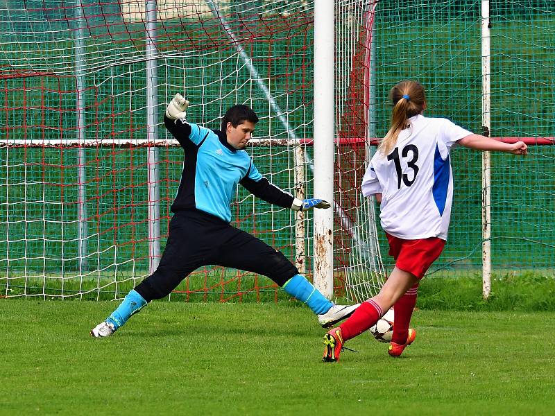 Pavlíkovské Lvice vyhrály v dalším kole divize žen v Brňanech 6:1. Foto: Petr Růžek