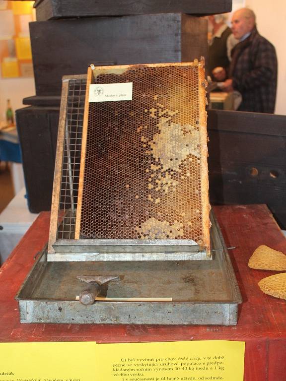 Výstava 11O let včelařského spolku v Novém Strašecí