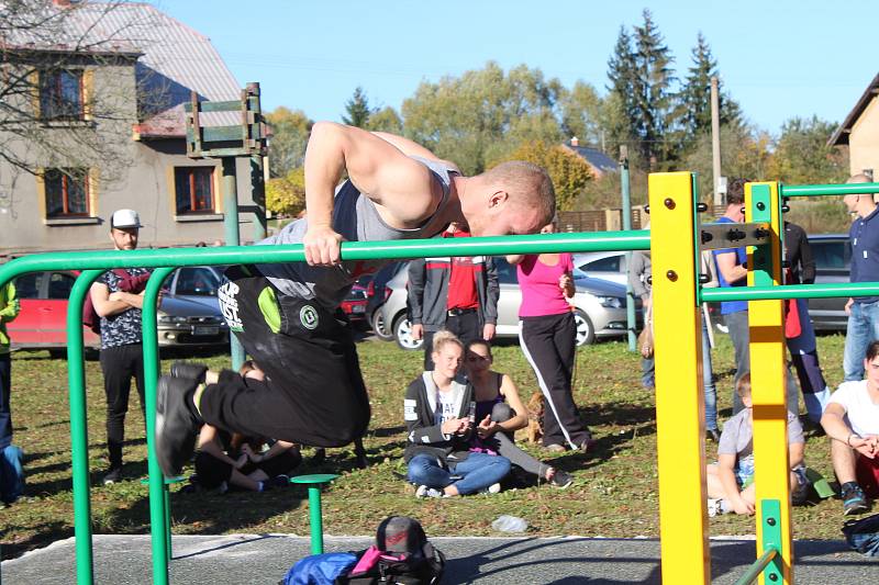 V Lišanech na Rakovnicku otevřeli workoutové hřiště.