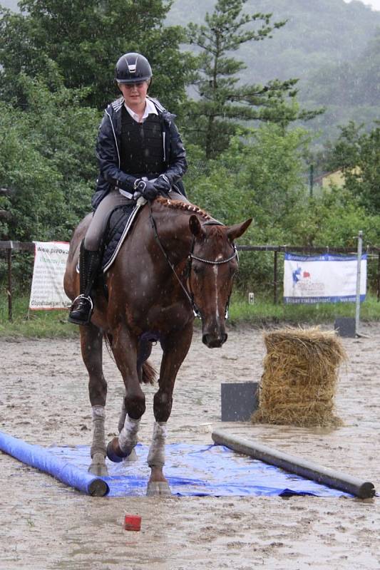 Národních soutěží Working Equitation ve Rtyni nad Bílinou se zúčastnili i koně a jezdci hředelského Jezdeckého klubu Spongilit.