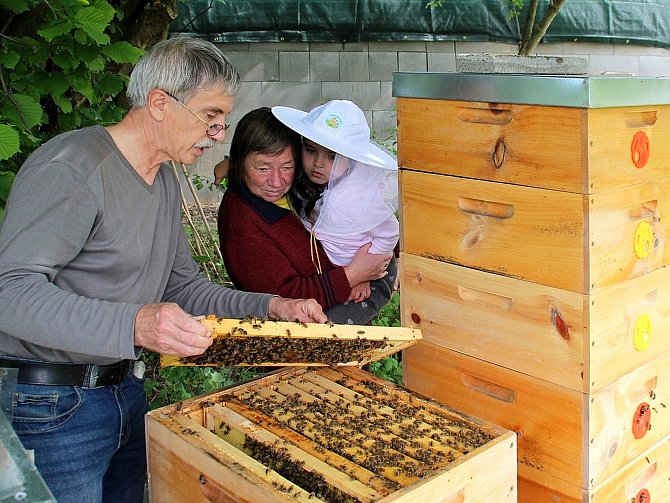 Do otevřeného úlu se včelami mohli zájemci o život včel v neděli od 10. do 12. hodiny nahlédnout u včelaře Zdeňka Choce v Novém Strašecí.