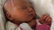 JULIE PLUHÁČKOVÁ, NOVÉ STRAŠECÍ. Narodila se 26. ledna 2020. Po porodu vážila 3,16 kg a měřila 49 cm. Rodiče jsou Eva a Aleš.