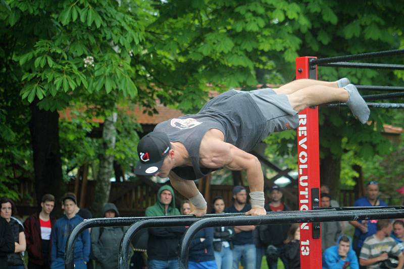 Pátý ročník Street workout Battle v Čermákových sadech.