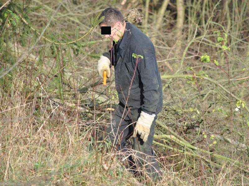 Odsouzení z věznice Drahonice uklízeli okolí hradu Krakovce