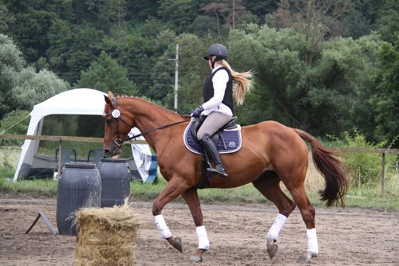 Národních soutěží Working Equitation ve Rtyni nad Bílinou se zúčastnili i koně a jezdci hředelského Jezdeckého klubu Spongilit.