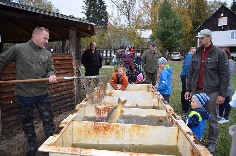 Výlov sledovalo mnoho lidí z Nového Strašecí i okolí.