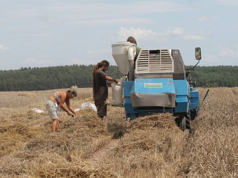 Sekání polních polních pokusů v Chrášťanech