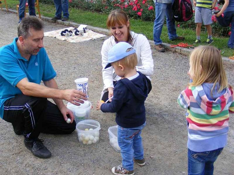 Rakovník patřil Sokolům