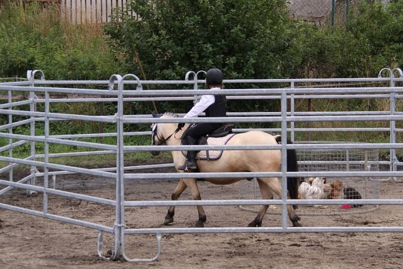 Národních soutěží Working Equitation ve Rtyni nad Bílinou se zúčastnili i koně a jezdci hředelského Jezdeckého klubu Spongilit.