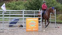 Národních soutěží Working Equitation ve Rtyni nad Bílinou se zúčastnili i koně a jezdci hředelského Jezdeckého klubu Spongilit.