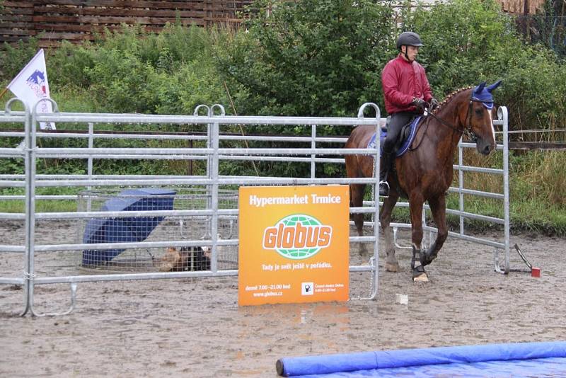 Národních soutěží Working Equitation ve Rtyni nad Bílinou se zúčastnili i koně a jezdci hředelského Jezdeckého klubu Spongilit.