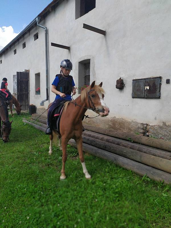 V Lišanech se uskutečnil pětidenní příměstský jezdecký tábor, který uspořádal Jezdecký klub Borský Les. V srpnu je v plánu další.