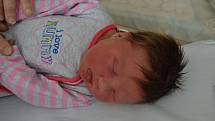 ELLEN PIRKEROVÁ, JESENICE.  Narodila se 10. července 2019. Po porodu vážila 3,9 kg. Rodiče jsou Šárka a Petr. Bratr Matouš.