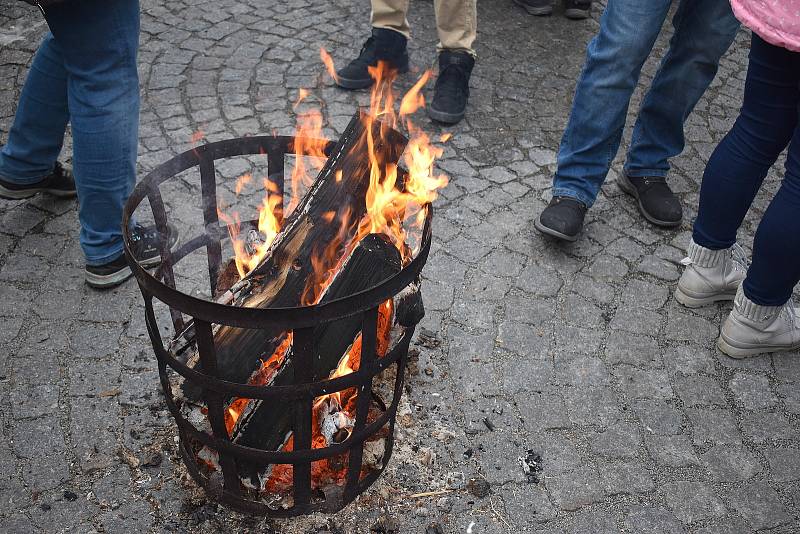 Zabijačka uspořádaná Tradičním pivovarem v Rakovníku.