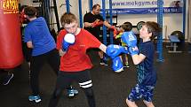 Boxerské lekce ve sportovním klubu Mek GYM vede i bývalý profesionální boxer Vladimír Řezníček starší.