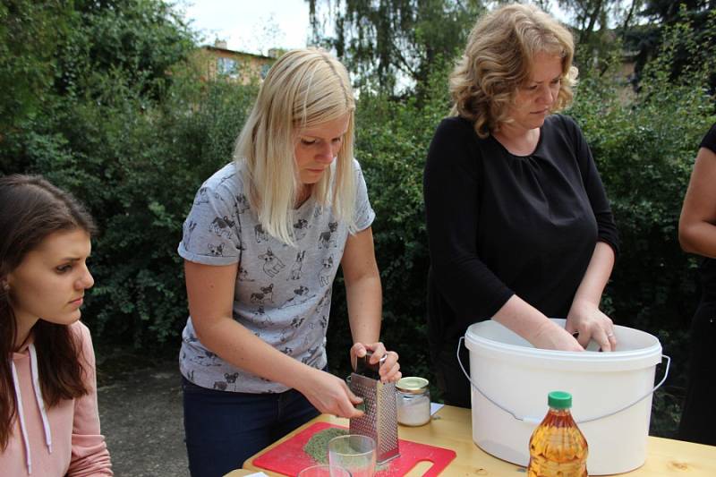 Levné a snadno dostupné ingredience, jednoduchý postup a radost z vlastní tvorby. To všechno navíc s ohledem na přírodu. Právě takový byl sobotní workshop o ekologických prostředních do domácnosti.