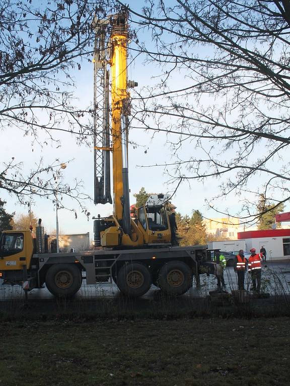 Doprava a stavění stromu na Husově náměstí v Rakovníku