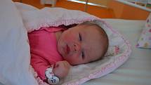 ADÉLA RUBÁŠOVÁ, PŠOVLKY. Narodila se 10. července 2019. Po porodu vážila 4,6 kg a měřila 54 cm. Rodiče jsou Petra a Pavel. Bratr Pavel.