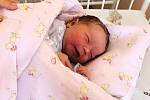 ALBERTA BURGOS, NIŽBOR. Narodila se 10. června 2019. Po porodu vážila 3,7 kg a měřila 51 cm. Rodiče jsou Anavís a Pavla. Bratr Teodor.
