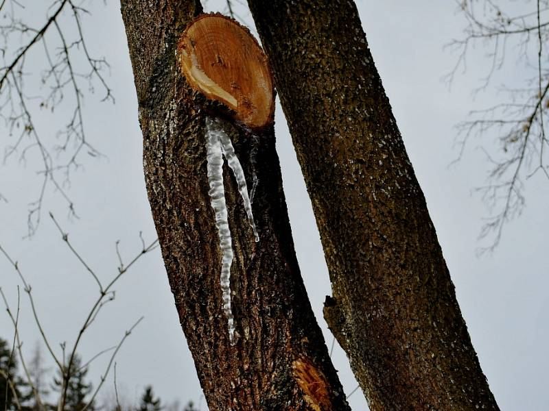 Skryjská jezírka, okolí Berounky