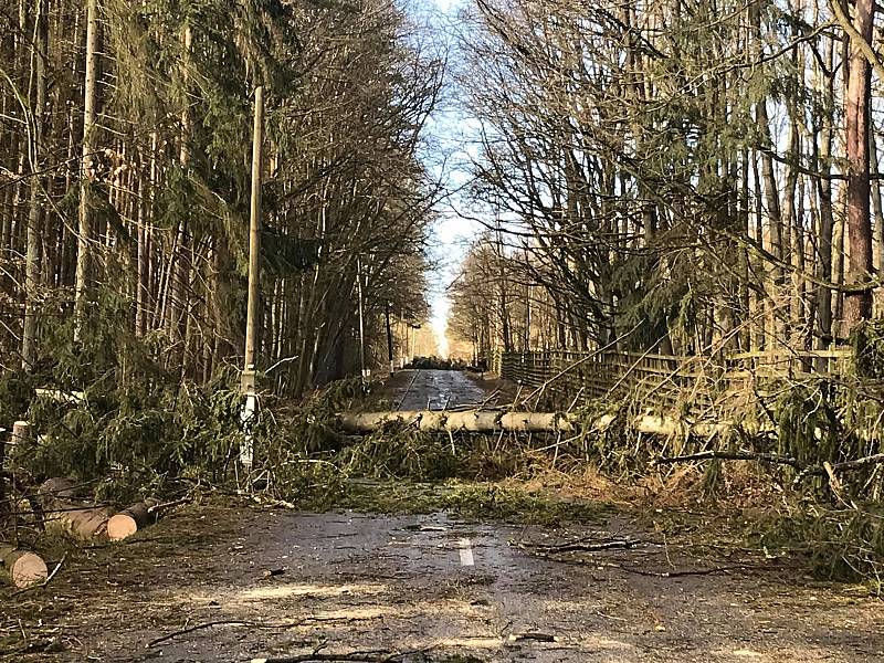Odstraňování dvou padlých stromů mezi Požáry a Novým Domem.