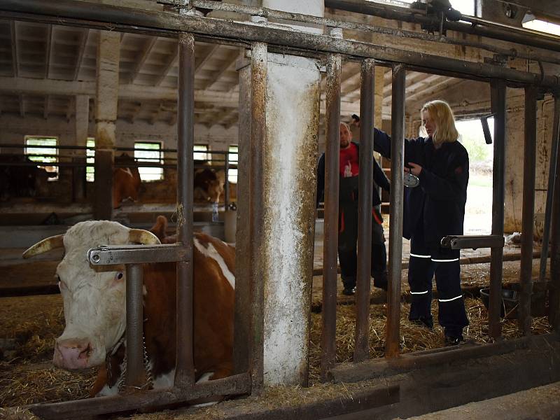 Studenti Střední zemědělské školy Rakovník absolvovali praktické zkoušky z odborných předmětů na školním statku.