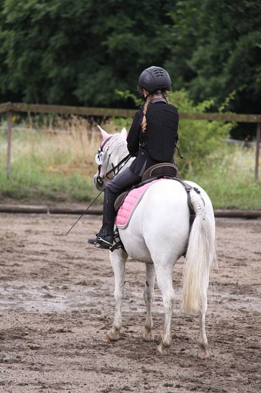 Národních soutěží Working Equitation ve Rtyni nad Bílinou se zúčastnili i koně a jezdci hředelského Jezdeckého klubu Spongilit.