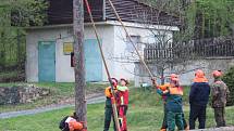 Mladí dřevorubci ze šesti zemí bojovali o titul mistra ČR v soutěži Dřevorubec junior ve Střední lesnické škole a učilišti Písky u Křivoklátu