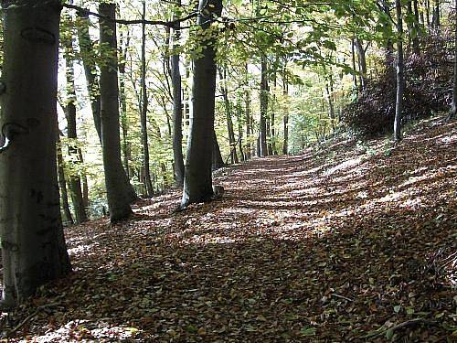 Podzim na Kounovských řadách