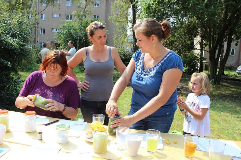 Levné a snadno dostupné ingredience, jednoduchý postup a radost z vlastní tvorby. To všechno navíc s ohledem na přírodu. Právě takový byl sobotní workshop o ekologických prostředních do domácnosti.