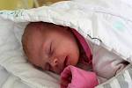 BÁRA TÝGLOVÁ, HŘEDLE. Narodila se 20. ledna 2020. Po porodu vážila 3,4 kg a měřila 48 cm. Rodiče jsou Zita a Václav.