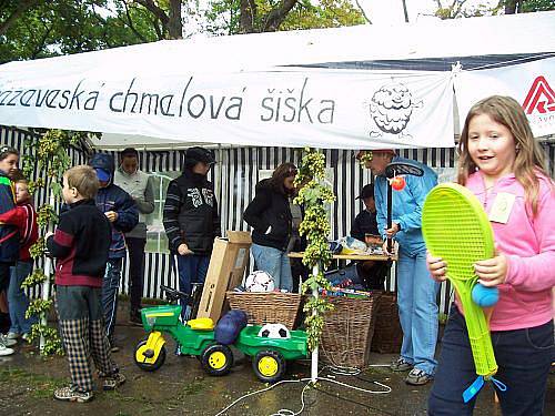 Kněževeská chmelová šiška 2010