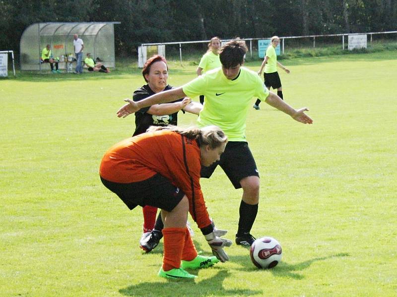 Pavlíkovské Lvice porazily v druhém kole divize žen Horní Břízu 5:1.