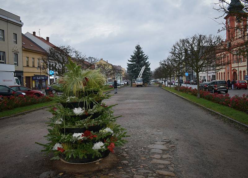 V neděli 21. listopadu byl na Husovo náměstí v Rakovníku z Václav dovezen vánoční strom.