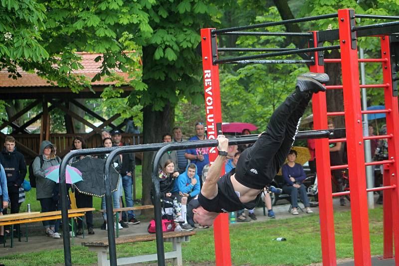 Pátý ročník Street workout Battle v Čermákových sadech.