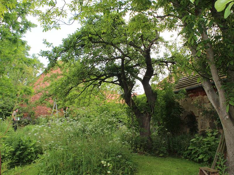 Milan Tichai provedl návštěvníky po své přírodní zahradě.