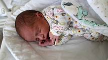 MIROSLAV PRCHAL, MUTĚJOVICE. Narodil se 13. června 2019. Po porodu vážil 3,1 kg a měřil 49 cm. Rodiče jsou Denisa a Miroslav. Sestra Terezka.