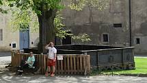 Hrad Křivoklát je již týden otevřen veřejnosti. Největší nával zaznamenal o víkendu, především v neděli. I během slunečního úterý se ovšem tu a tam objevovali turisté.