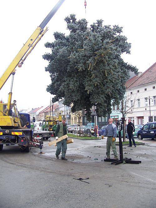 Stavění vánočního stromu Rakovník 2010