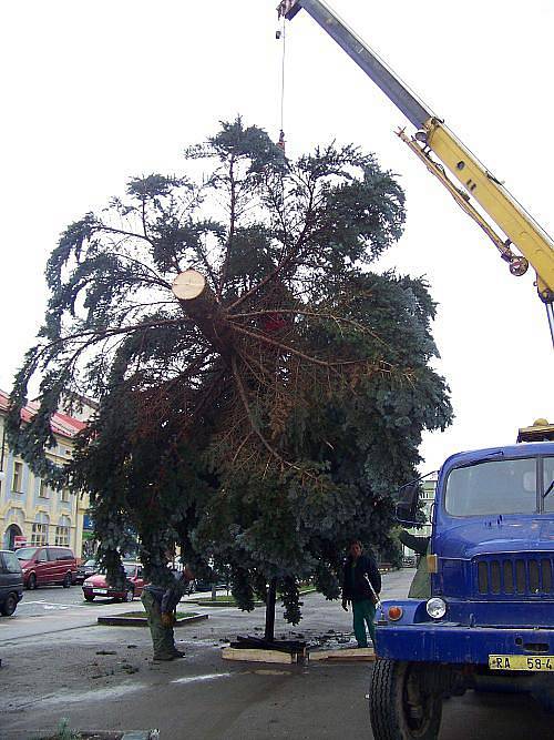 Stavění vánočního stromu Rakovník 2010