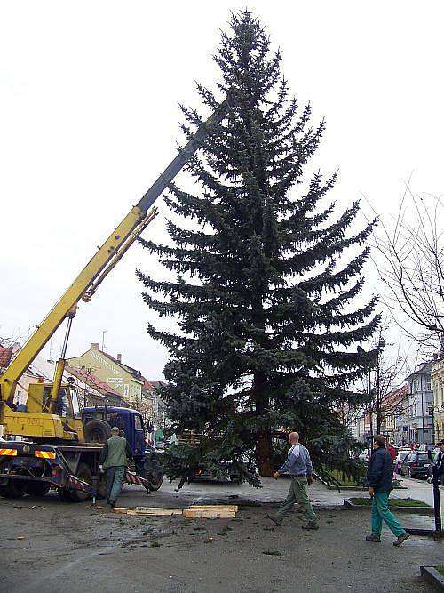 Stavění vánočního stromu Rakovník 2010