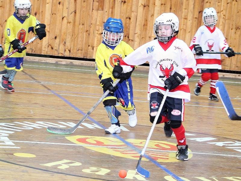 V rakovnické sportovní hale se uskutečnil druhý ročník charitativní akce Retro hokejbal pomáhá. Hokejbalisté a sponzoři vybrali dohromady přes 42 tisíc korun, které byly rozděleny čtyřem organizacím.