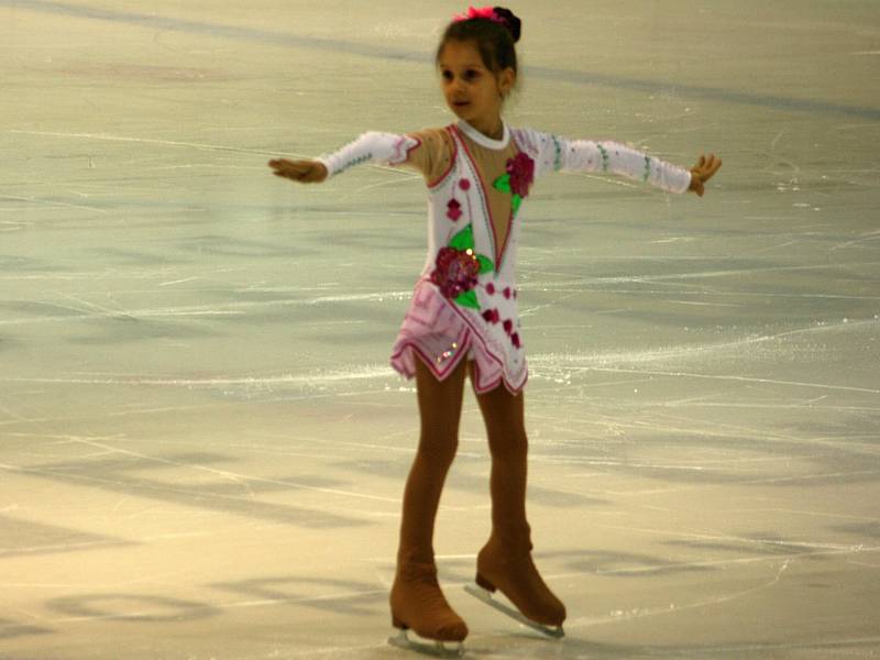 HC Rakovník - HC Vlašim, čtvrtfinále 2016